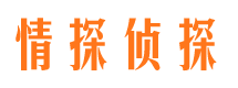 泸溪市私家侦探